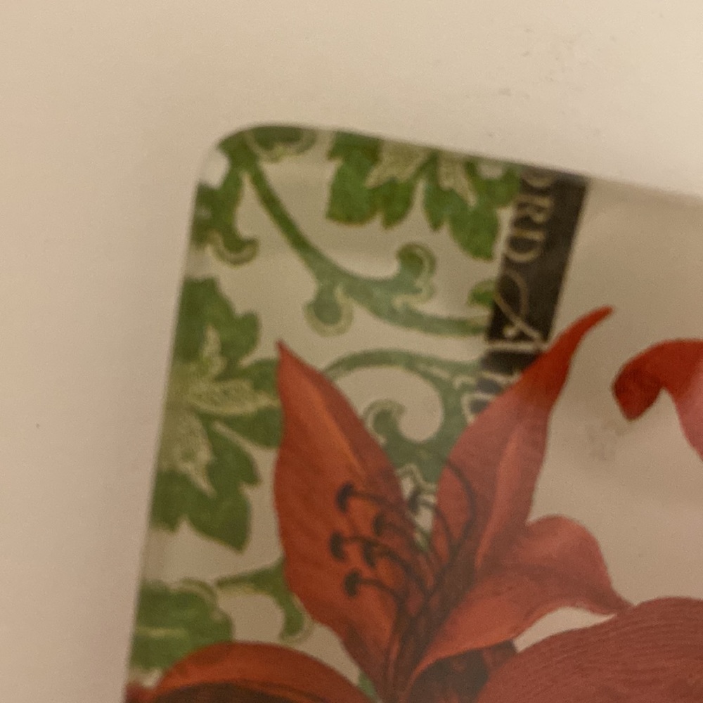 ❌Donated❌Small “Winter Botanical” Dish - Picture 4 of 8
